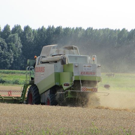 B&B Boerderij Wijtvliet Langeweg Zewnętrze zdjęcie